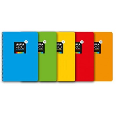 CUADERNO FOLIO EXTRA DURA 100 HOJAS 3 MM SURTIDOS LAMELA