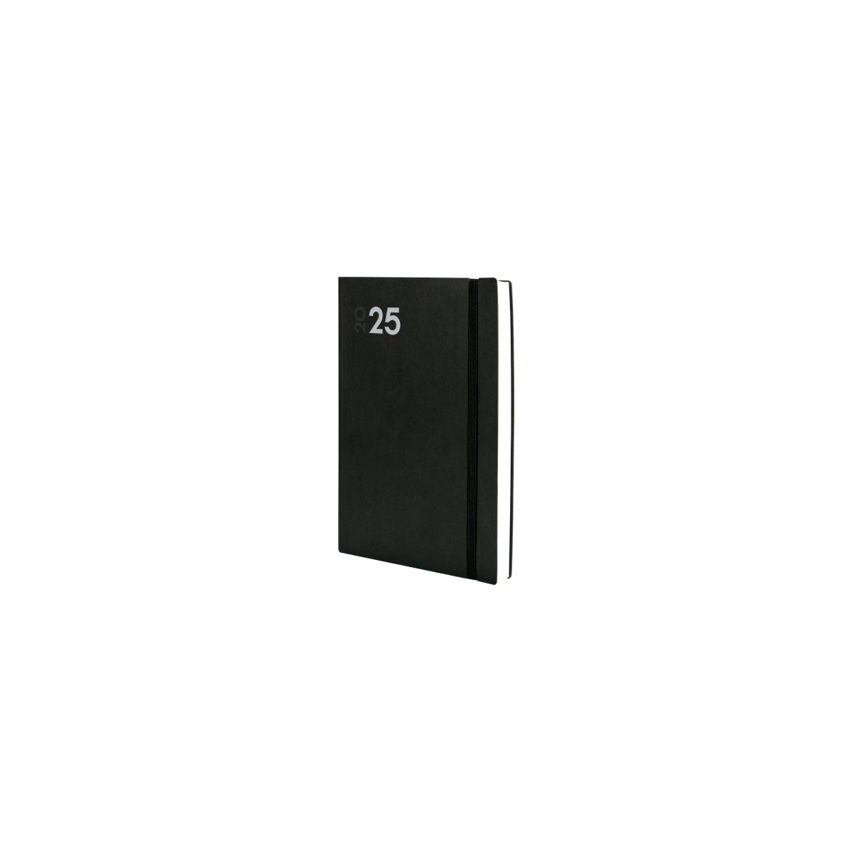 AGENDA 2025 DYNAMIC MARA Y11 164X240MM DIA PAGINA NEGRO FINOCAM 621986025