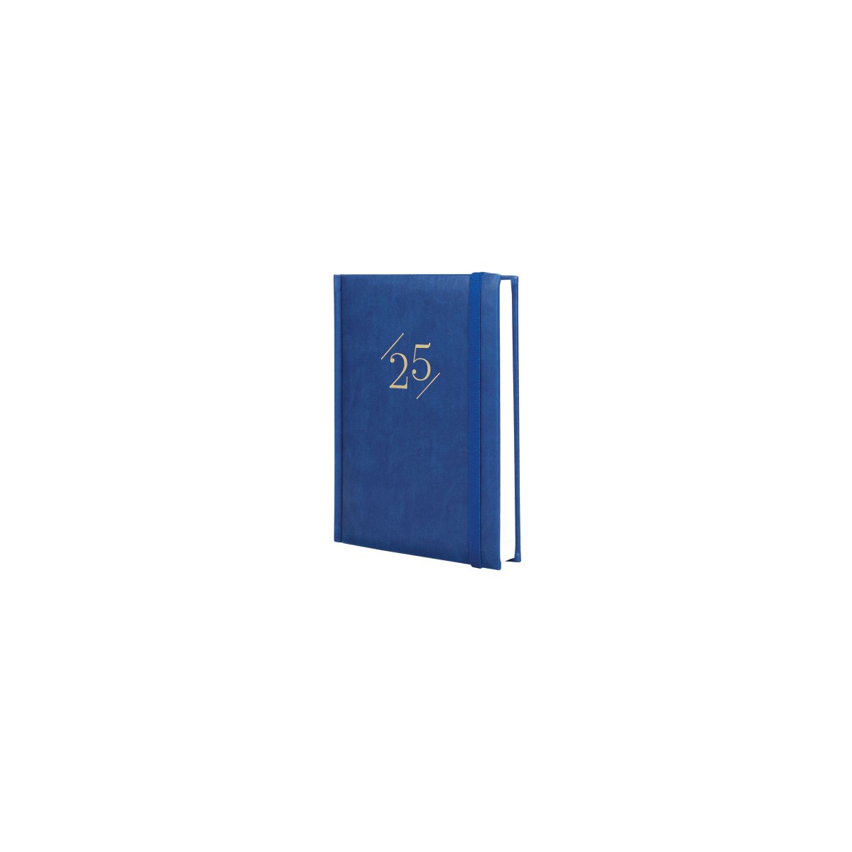 AGENDA 2025 DYNAMIC LONDON Y10 140X204MM DIA PAGINA AZUL FINOCAM 625320125