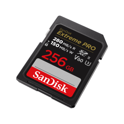 SanDisk SDSDXEP 256G GN4IN memoria flash 256 GB SDXC UHS II Clase 10