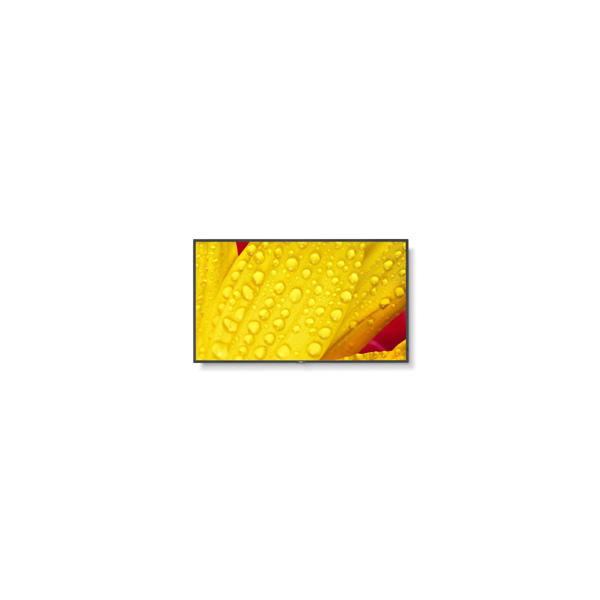 NEC MultiSync M501 2 Diseno de quiosco 127 cm 50 LED 4K Ultra HD Negro Procesador incorporado