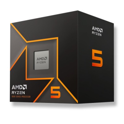 AMD Ryzen 5 9600 procesador 38 GHz 32 MB L3 Caja