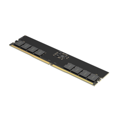 Lexar LD5U32G56C46ST BGS modulo de memoria 32 GB 1 x 32 GB DDR5 5600 MT s ECC