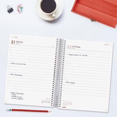 AGENDA 2026 BASIC YEAR E10 155X212MM DIA PAGINA ROJO FINOCAM 741103026