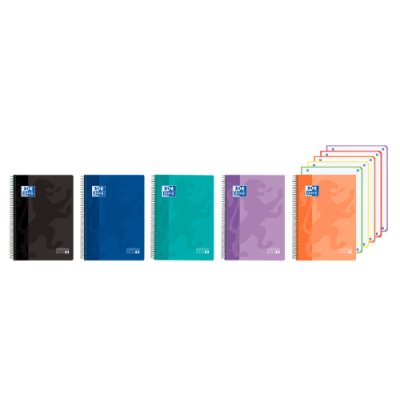 CUADERNO EUROPEANBOOK 5 TAPA PLaSTICO CLASSIC A4 120H VIVOS OXFORD 400196862 OXFORD 400196862