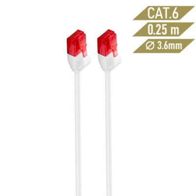 Ewent IM1035 cable de red 025 m Cat6 U UTP UTP Blanco