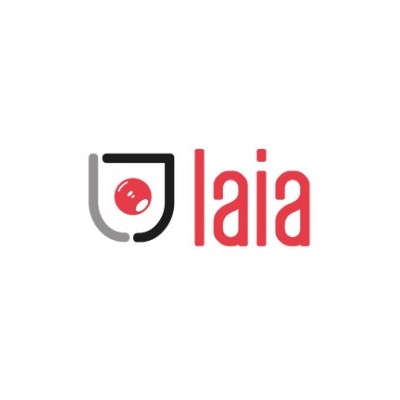 LAIA SOPORTE UNIVERSAL DE PARED DE HIERRO NEGRO GALVANIZADO SWM
