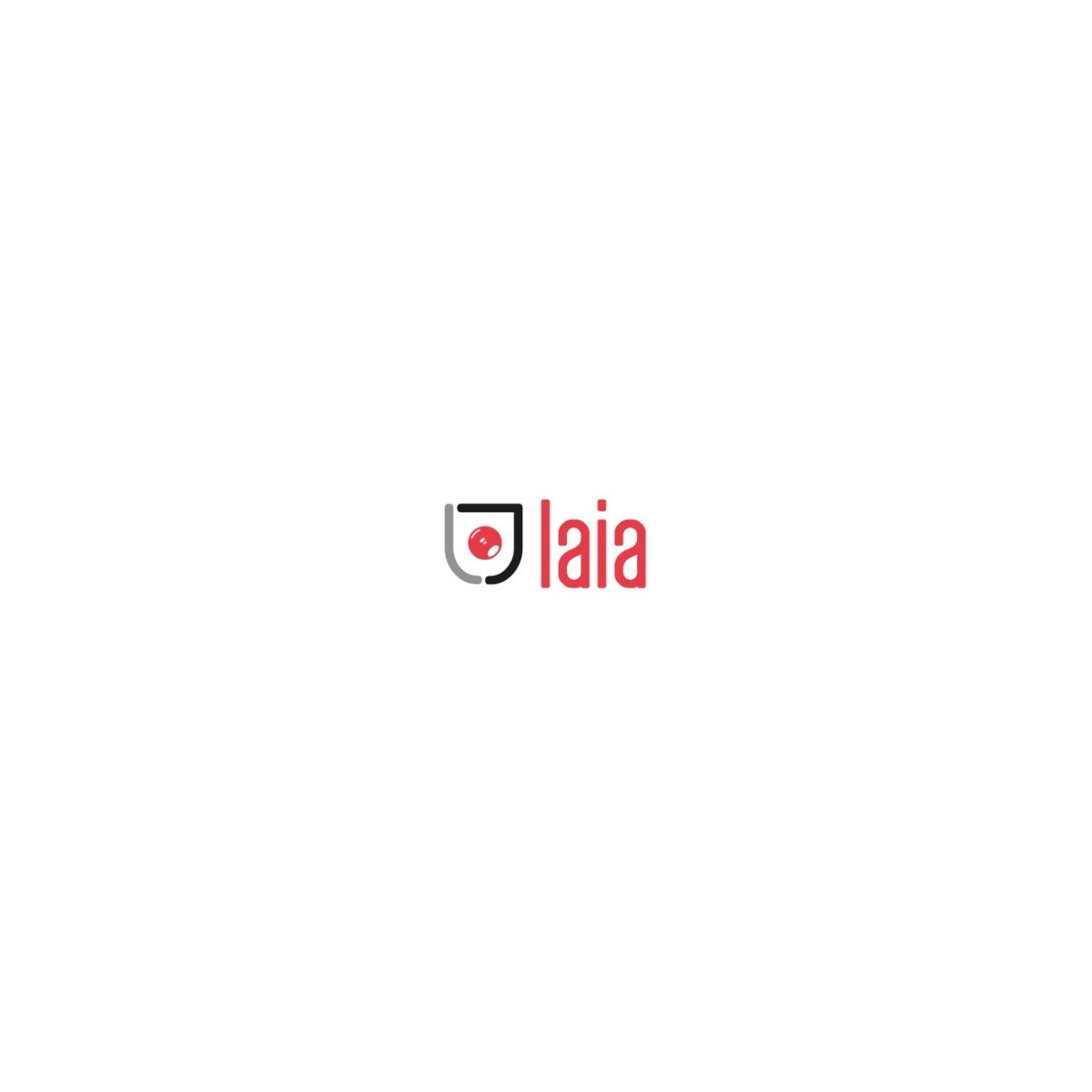 LAIA SOPORTE UNIVERSAL DE PARED DE HIERRO NEGRO GALVANIZADO SWM