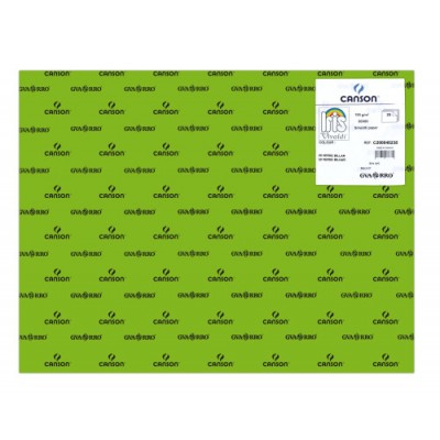 PACK 25 HOJAS CARTULINA IRIS 50X65 185G VERDE BILLAR CANSON C200040238